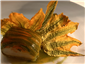 courgette flower with fish
